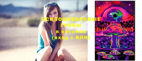 MESCALINE Алзамай