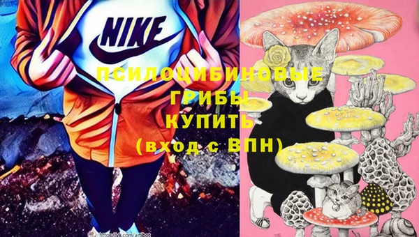 твердый Алексин